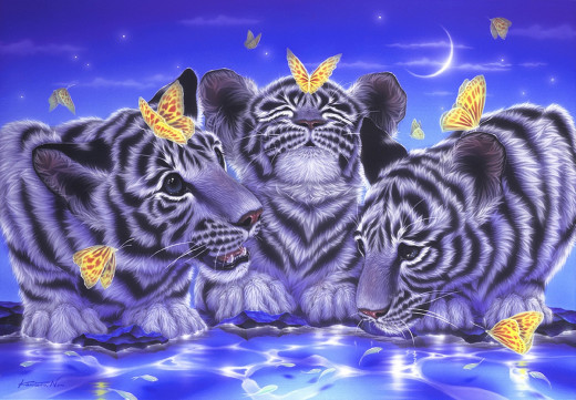780787 (a): :1920x1330